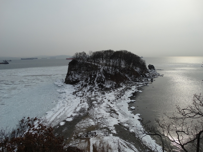 5559494_DSC08083 (700x525, 243Kb)