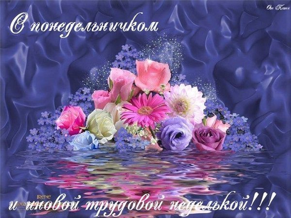 5680772_81807391_ponedtrud_nedelya (600x450, 75Kb)