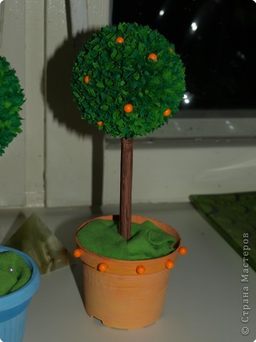 PC026448_0 (360x480, 30Kb)