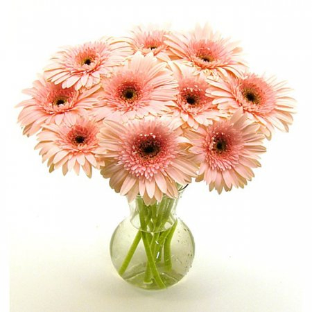 ваза цветы 2 (450x450, 151Kb)