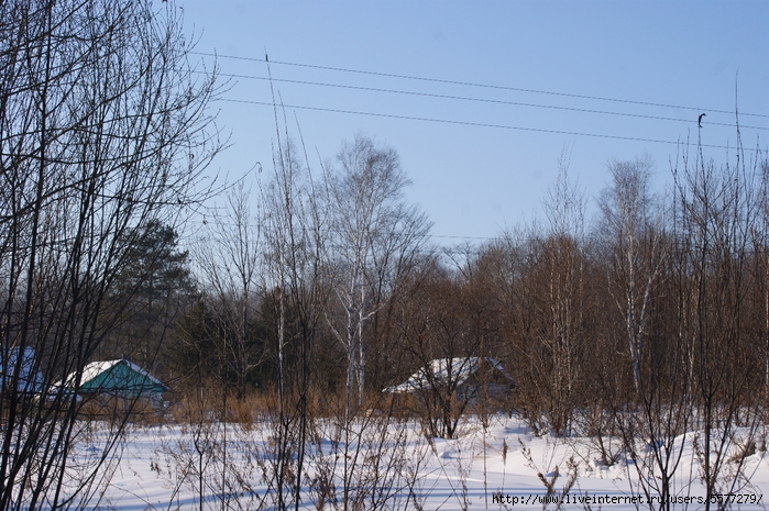 DSC05294 (700x465, 349Kb)