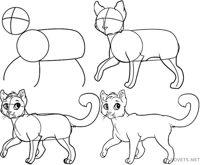 Животное рисунок 7 класс. Животные для рисования. Кошка и собака рисунок. Рисование кошки. Рисунки животных легкие.