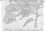  300893-16b4d-66213705-m750x740-u9b76e (700x495, 269Kb)