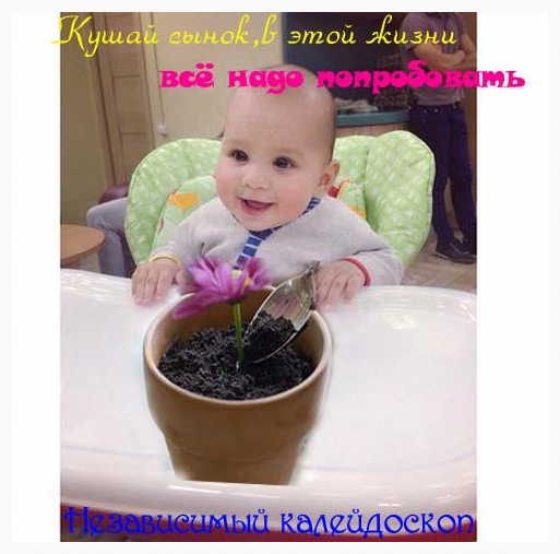 holla_user_569165240 (513x507, 329Kb)
