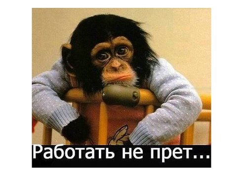 ЮМОР - РАБОТАТЬ не ПРЕТ. (492x358, 122Kb)