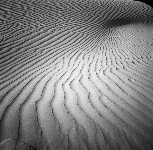 beautiful-black-and-white-photos-by-hengki_14 (640x627, 96Kb)