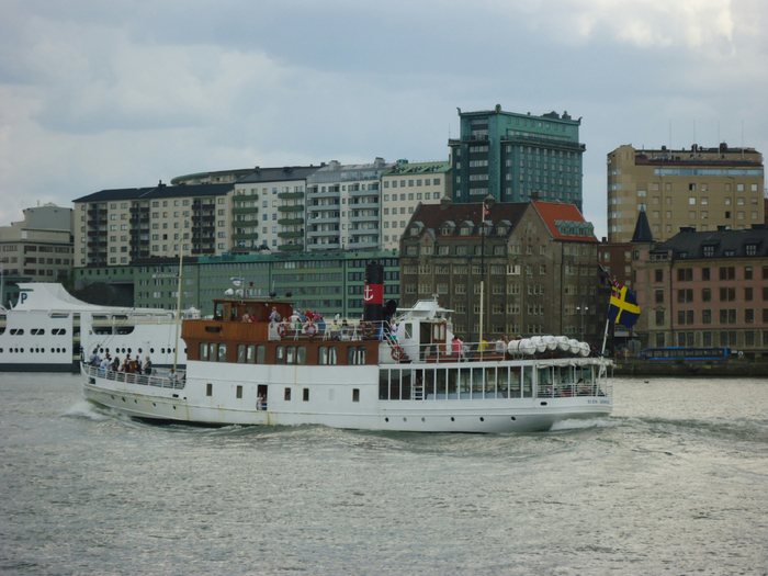 DSC07606 (700x525, 407Kb)