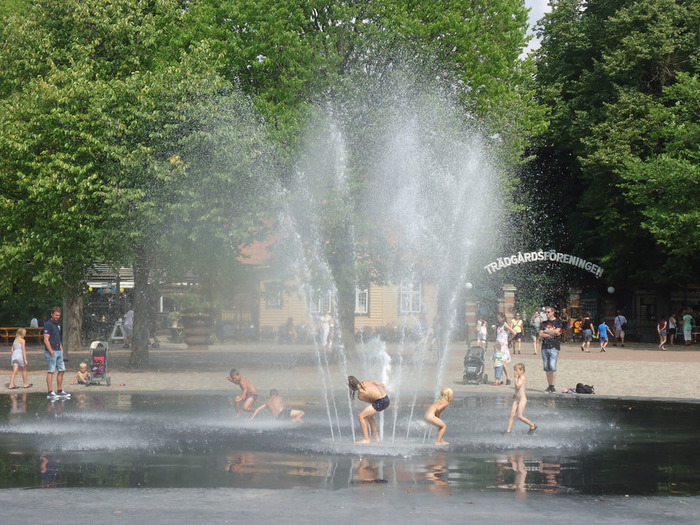 DSC07705 (700x525, 159Kb)