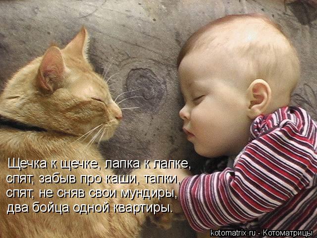 1918486_846395 (640x480, 73Kb)