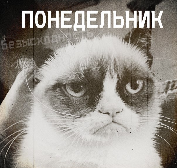 V1C4gCv4shc (604x572, 85Kb)