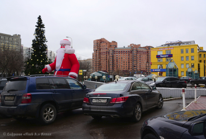 DSC_8785 копия (700x471, 338Kb)