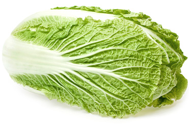 chinese-cabbage (371x250, 47Kb)