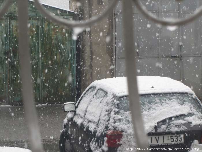 IMG_0009 (700x525, 303Kb)