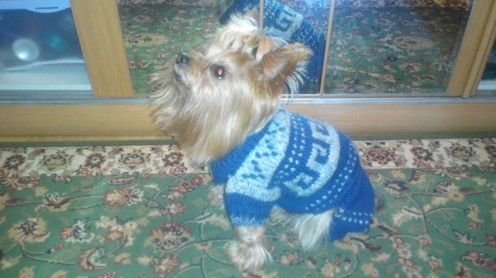 20141123114419 (700x393, 114Kb)