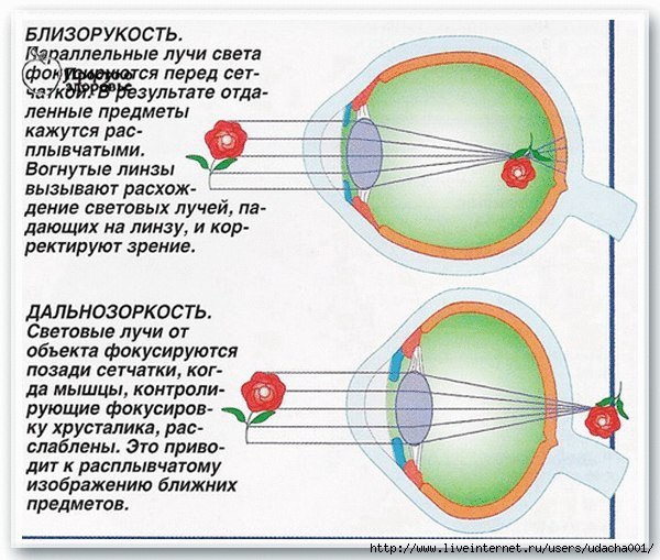 pic (15) (600x509, 197Kb)