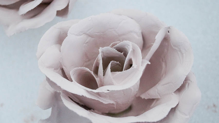 Painting-Silk-Roses-with (700x393, 164Kb)