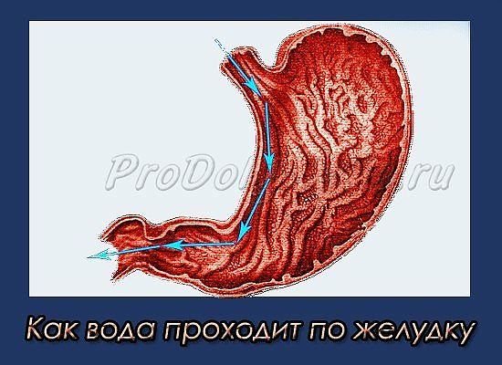 5361601_getImage_3 (550x400, 48Kb)