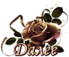5230261_dalee_cher_roza (100x83, 16Kb)