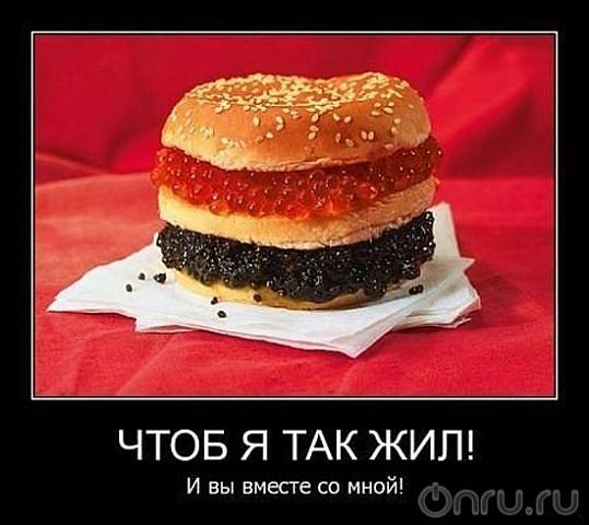     (539x480, 40Kb)