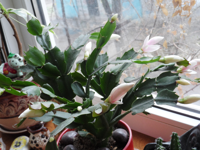 SAM_5787 (700x525, 449Kb)