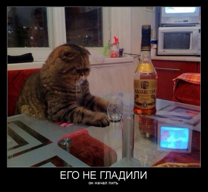 20141101183811 (700x649, 261Kb)