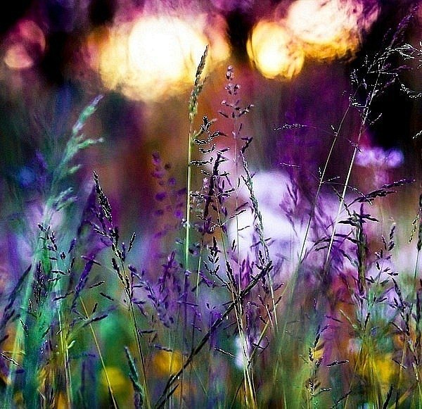 5 (600x581, 115Kb)