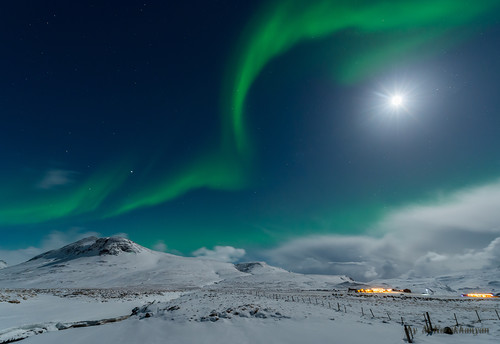_mika6868__15.02.2015 (500x344, 34Kb)