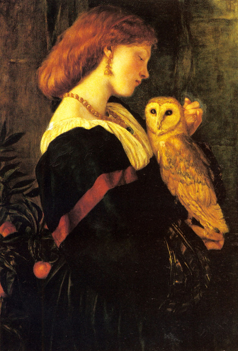 image (13) (473x700, 424Kb)