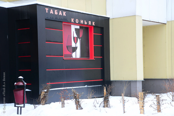 DSC_9351 копия (700x466, 311Kb)