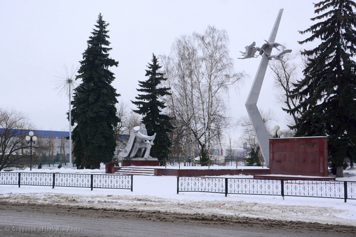 DSC_9361 копия (700x466, 378Kb)