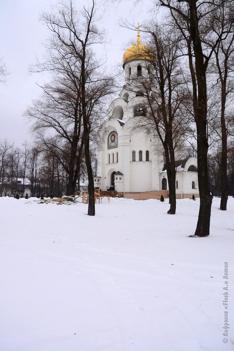 DSC_9379 копия (466x700, 364Kb)