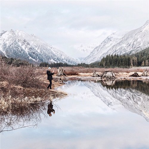4944591_0b6f843701b0 (500x500, 59Kb)