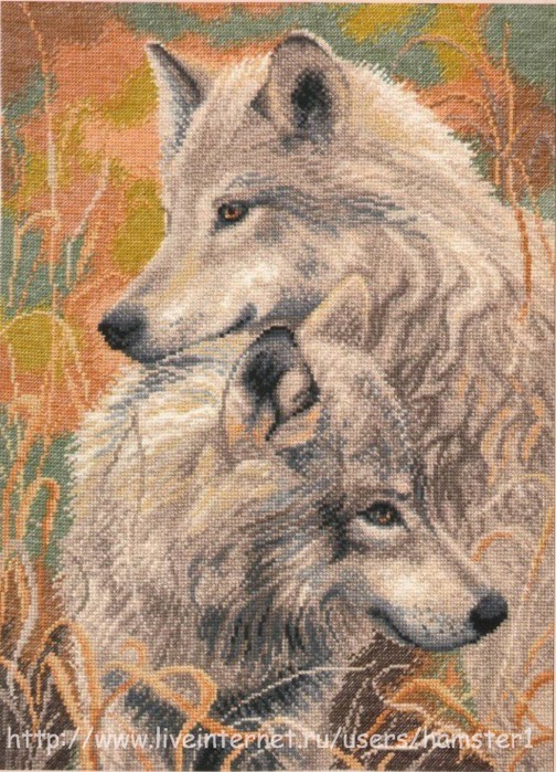 Схема вышивки: Пара волков на скале