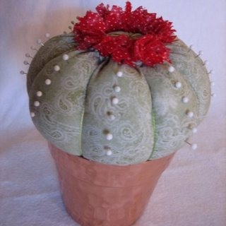 Cactus (320x320, 48Kb)