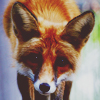1424111661_tumblr_nc6jpzRagA1qargfho1_500 (100x100, 37Kb)