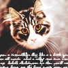 1424111967_tumblr_nctzz08DFz1tkchyko1_500 (100x100, 41Kb)
