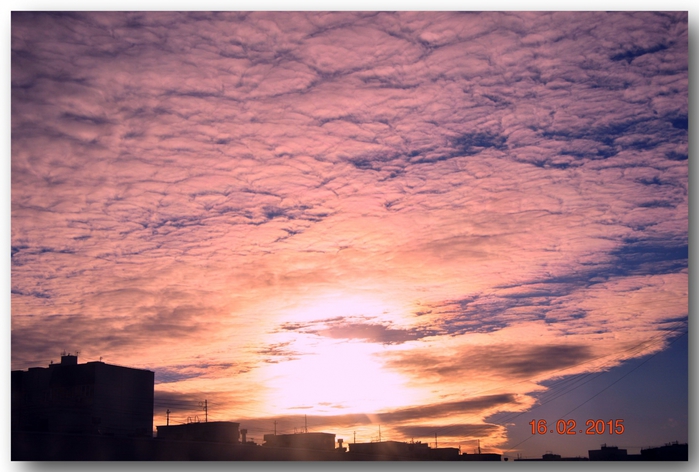 3587765_DSC_3327 (700x472, 239Kb)