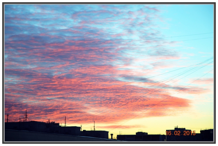 3587765_DSC_3331 (700x470, 214Kb)