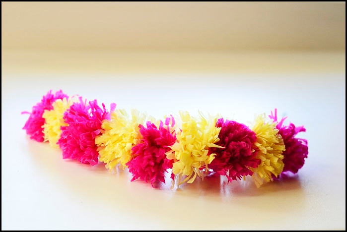 _DSC0143 (700x468, 312Kb)