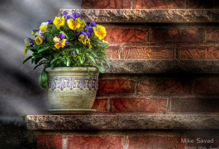 original (2) (700x475, 400Kb)