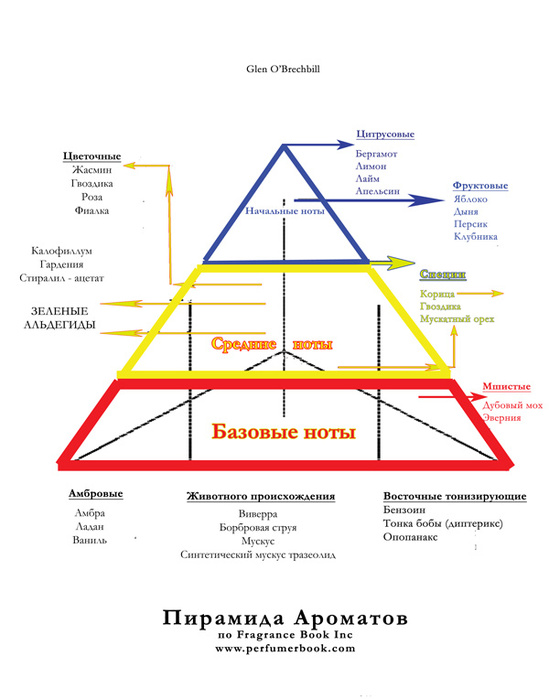 Ноты духов. Пирамида нот в парфюмерии. Ольфактивная пирамида ароматов. Структура аромата или парфюмерная пирамида. Пирамида классификации парфюма.