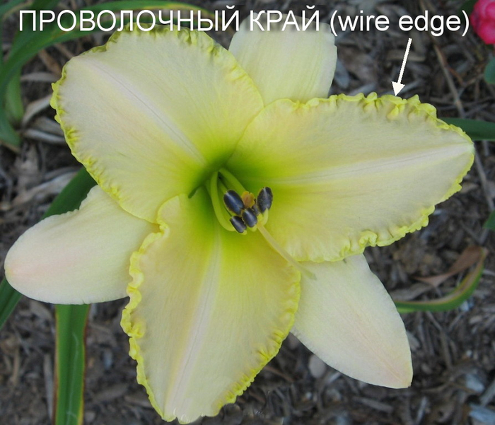 8 (700x601, 380Kb)