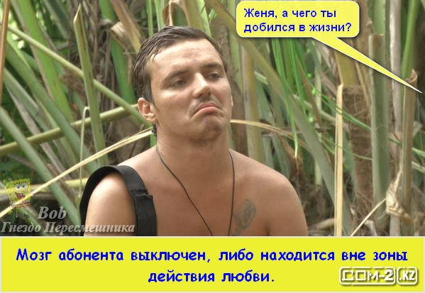 1424428006_prikoly-dom-2-miks-35 (599x413, 229Kb)