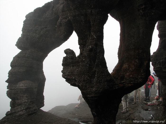 гора  орайма, Венесуэла13 (700x525, 268Kb)