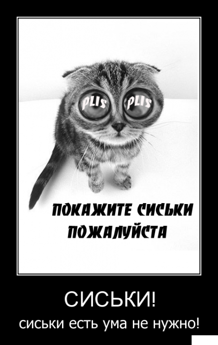 9e2b043553177e3d9b0f47039a0_prev (443x700, 167Kb)
