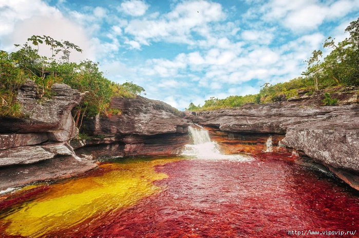 5745884_Reka_KanoKristales_Kolymbiya (700x464, 305Kb)