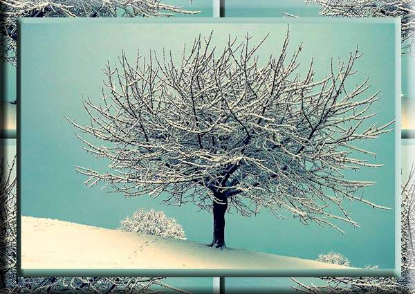 36 (600x425, 273Kb)