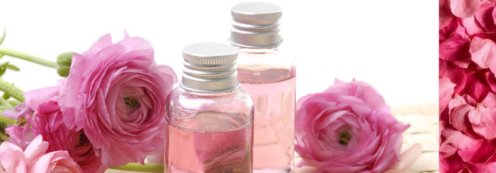 012_image002 (700x245, 52Kb)