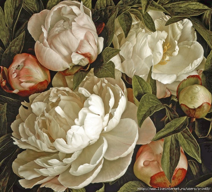 peonies-2007 (700x636, 388Kb)