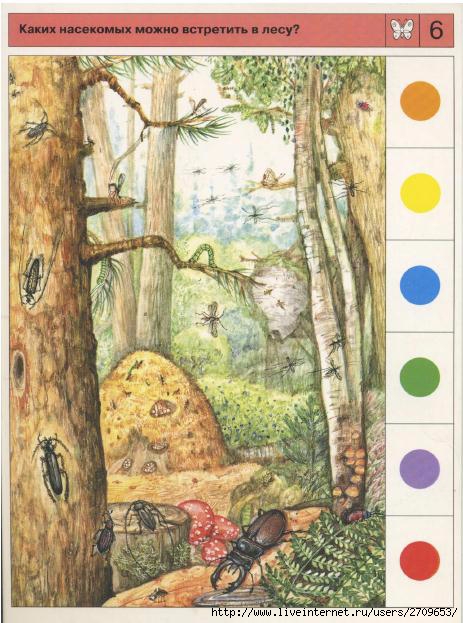 13 (463x623, 199Kb)